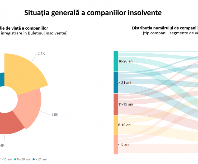 Sierra Quadrant: Prototipul firmei vulnerabile la insolvență